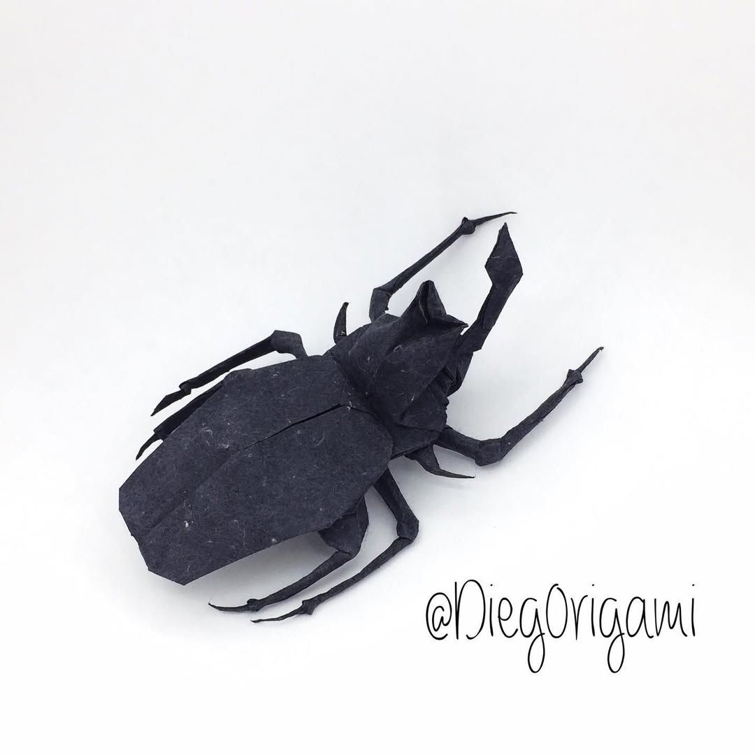 Foto de Diego Becerra